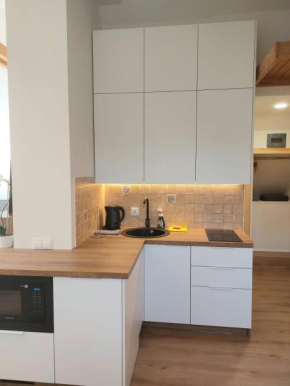 Apartamentai Emilija